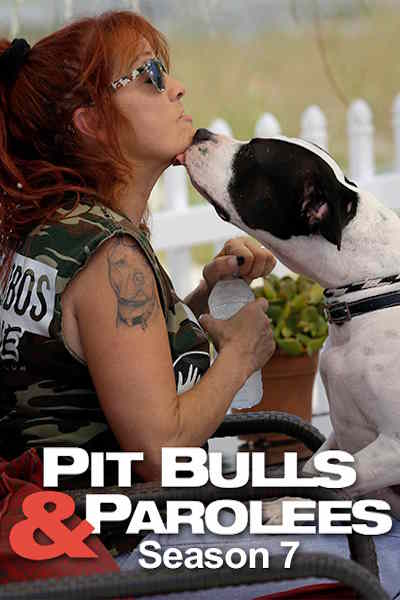 Pit Bulls and Parolees - Season 7