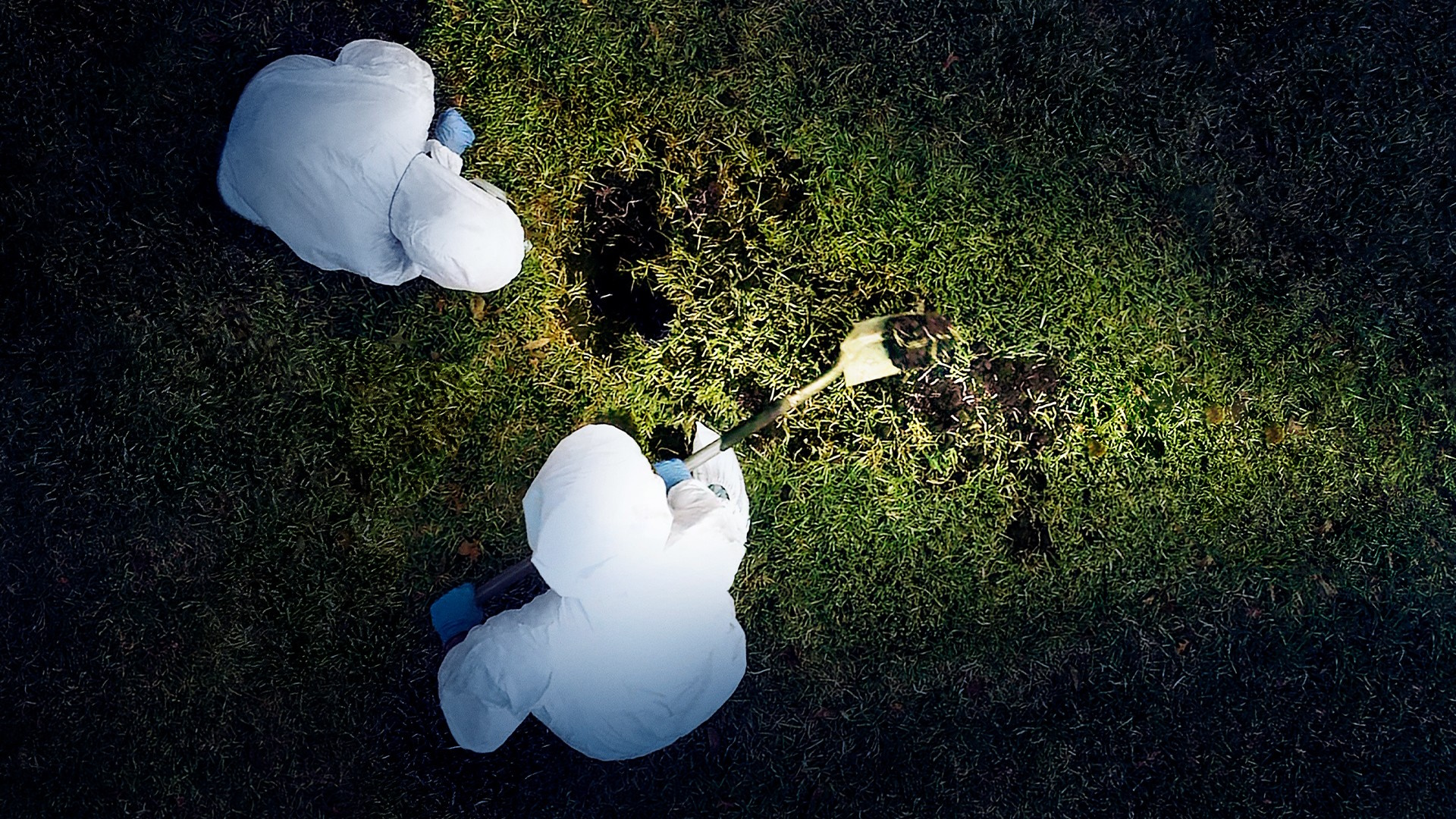 Season 6