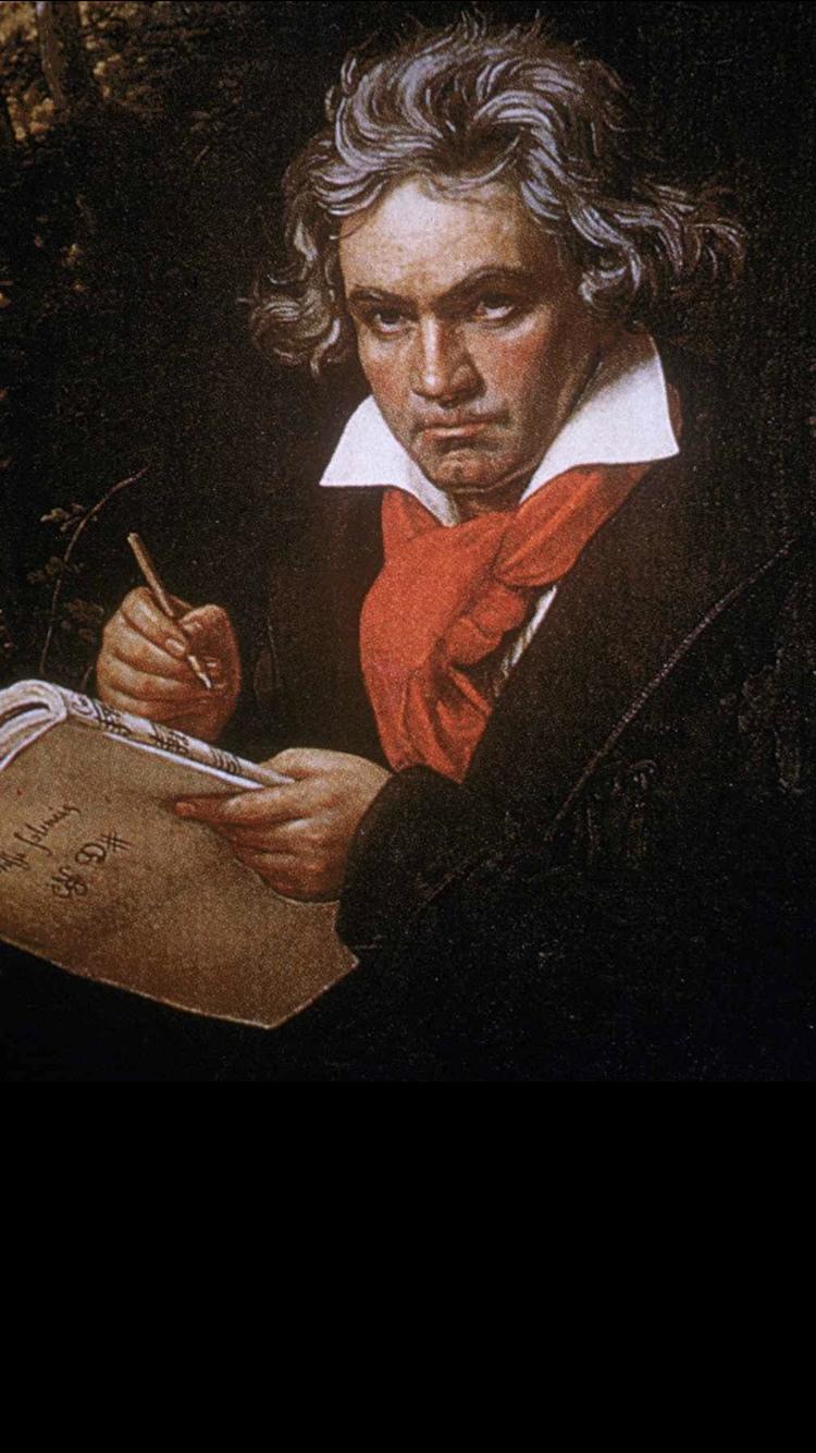 Beethoven`s Hair