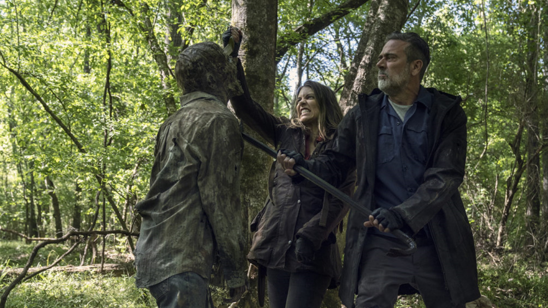 Season 11
