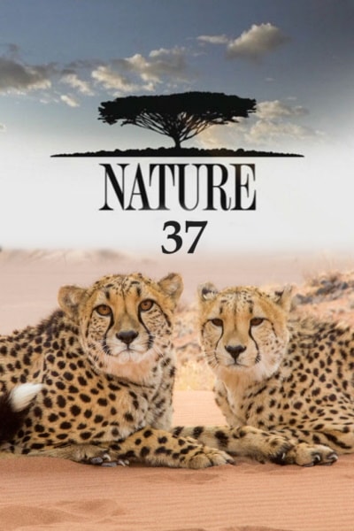 Nature - Season 37