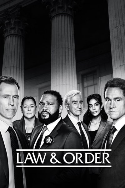 Law and Order - Season 21