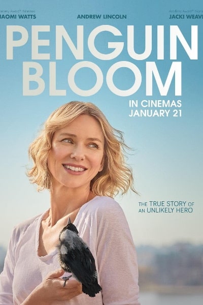 Penguin Bloom