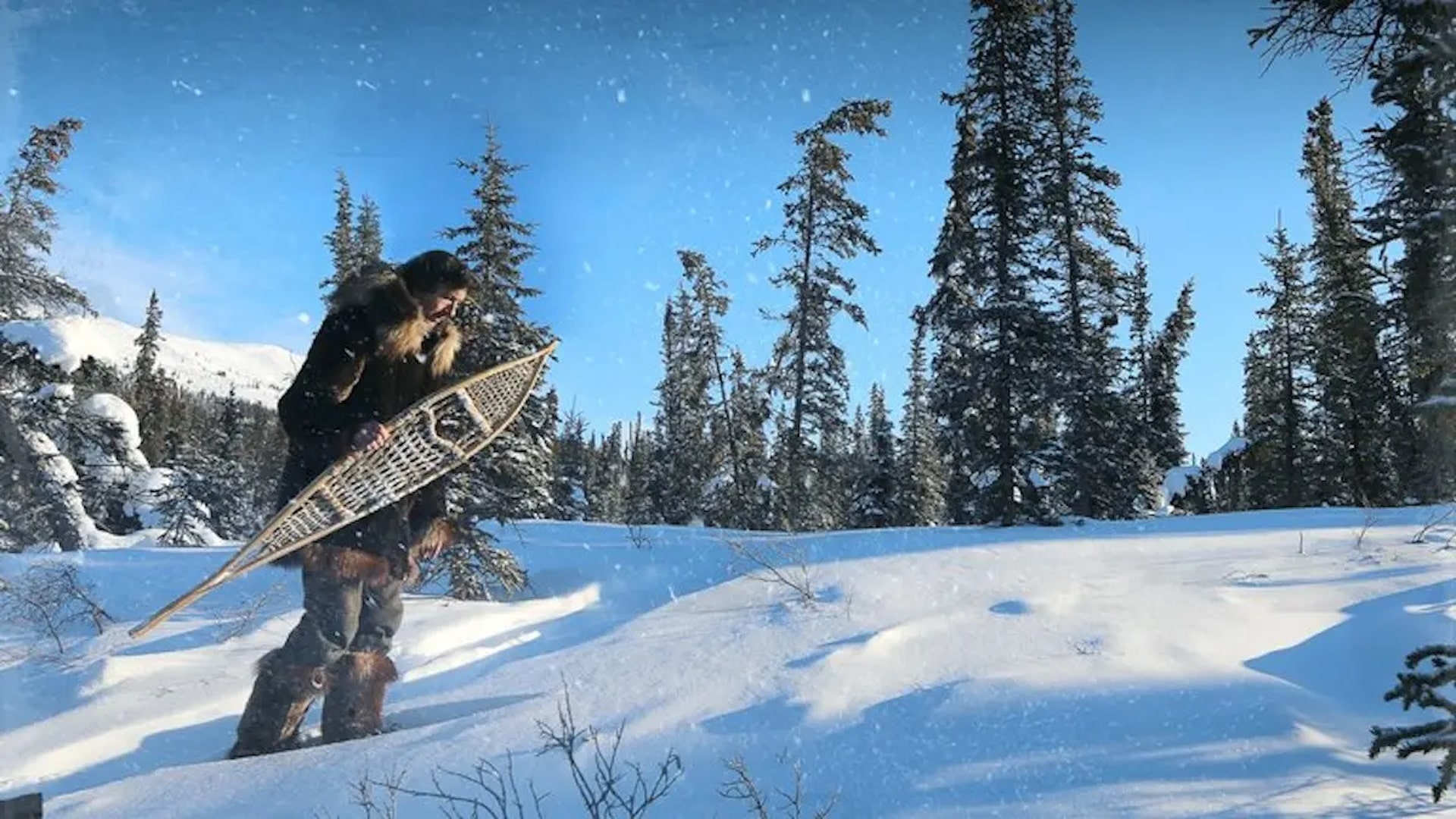 Season 7