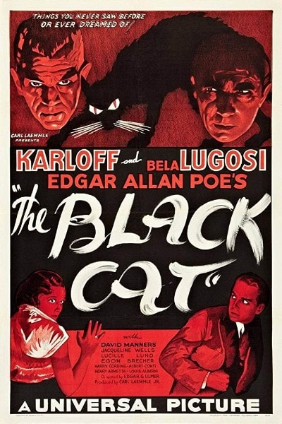 The Black Cat (Le chat noir)