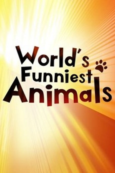 Worlds Funniest Animals - Season 3