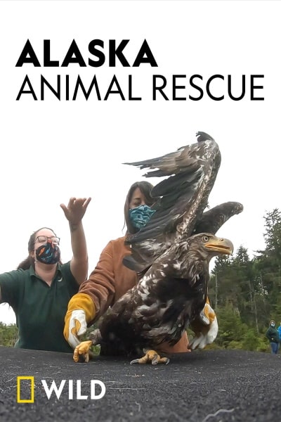 Alaska Animal Rescue - Season 2