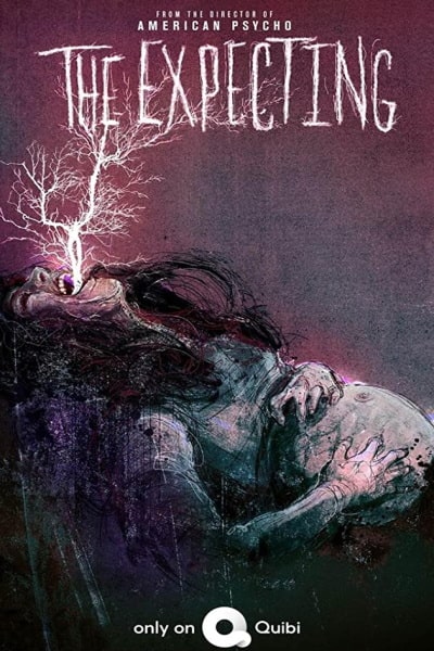 The Expecting - Season 1
