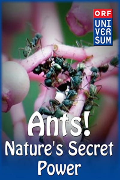 Ants: Natures Secret Power