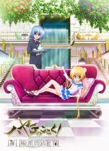 Hayate no Gotoku! Can't Take My Eyes Off You [Sub: Eng]