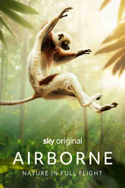 Airborne - Season 1