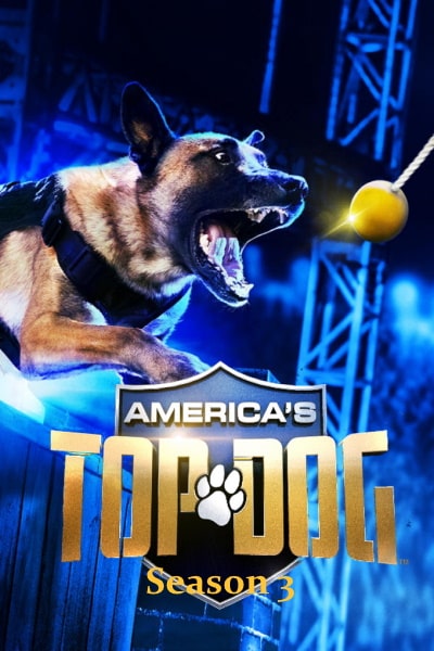 Americas Top Dog&nbsp;- Season 3