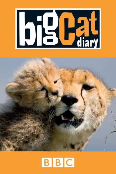 Big Cat Diary - Season 1