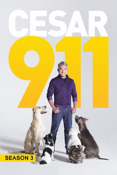 Cesar 911 - Season 3