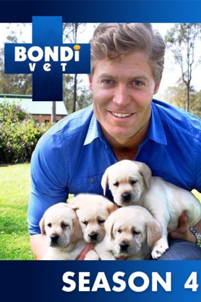 Bondi Vet - Season 4