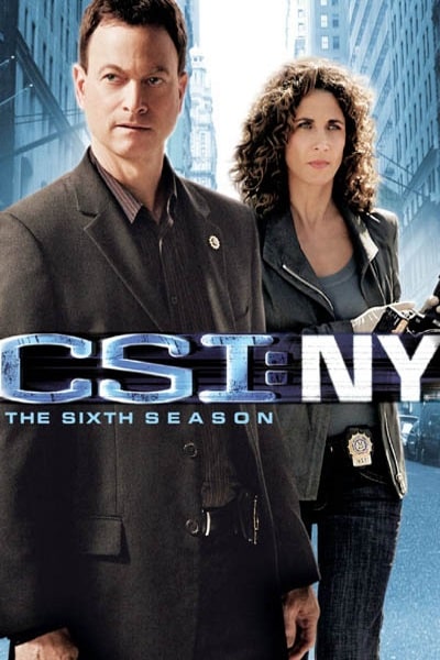 CSI: NY - Season 6