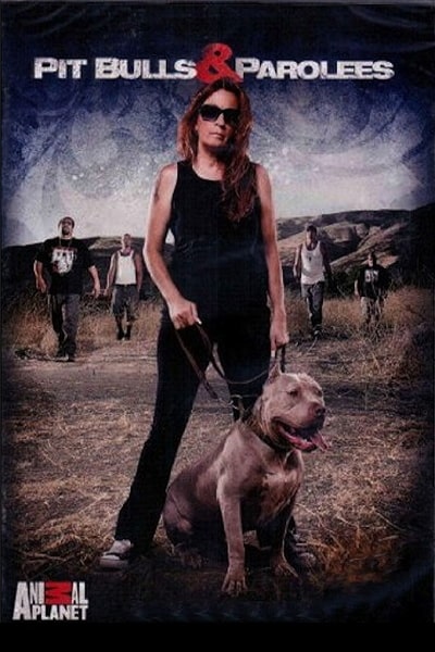 Pit Bulls and Parolees - Season 1