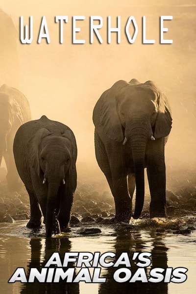 Waterhole: Africas Animal Oasis - Season 1