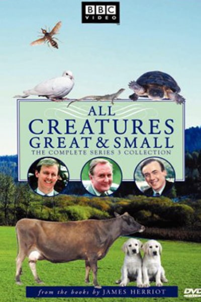All Creatures Great and Small - Season 3 (1978)