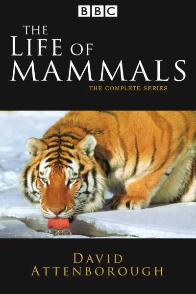 The Life of Mammals - Season 1