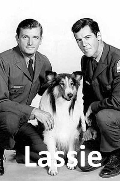 Lassie - Season 15